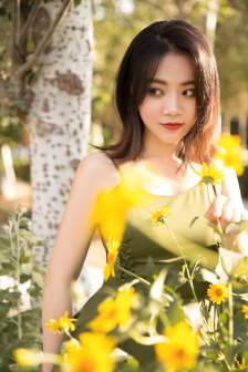 凡赫辛2